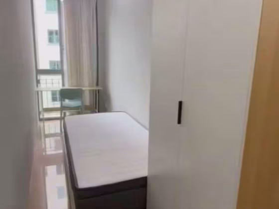 单间出租 • 红山 •  Springdale Condo • S$980 • 共管公寓 • 普通房 照片