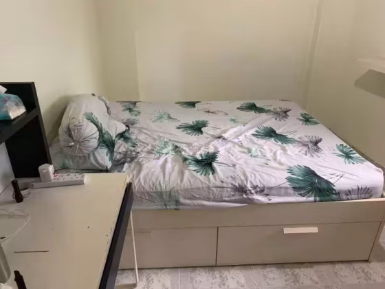 单间出租 • 宏茂桥 • 109 Pasir Ris Street 11 • S$700 • 执行组屋 • 普通房 照片