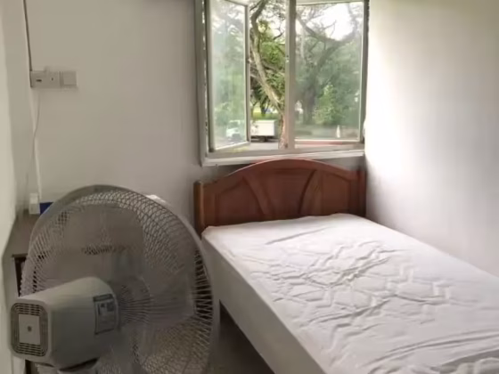 单间出租 • 宏茂桥 • 223 Ang Mo Kio Avenue 1 • S$500 • 4房(3臥室) • 床位出租 照片