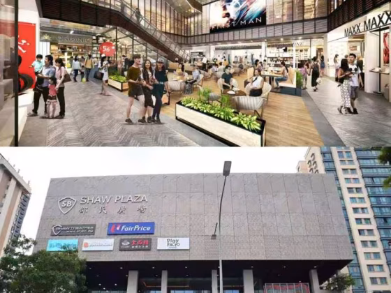 单间出租 • 诺维娜 •  Monarchy Apartments • S$2300 • 住宅公寓 • 主人房 照片