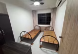 单间出租 • 三巴旺 • 733 Woodlands Circle • S$500 • 3房(2臥室) • 床位出租