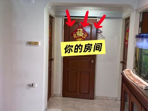 单间出租 • 中央集水区 • 509 Serangoon North Avenue 4 • S$450 • 3房(2臥室) • 佣人房 照片