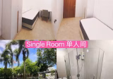 单间出租 • 芽笼 •  Casero @ Dunman • S$900 • 住宅公寓 • 普通房