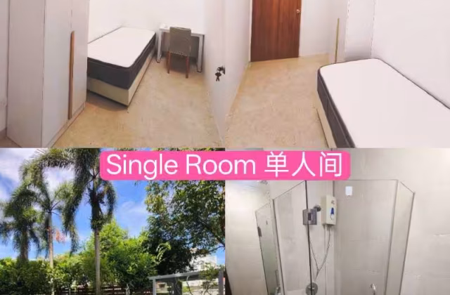 单间出租 • 芽笼 •  Casero @ Dunman • S$900 • 住宅公寓 • 普通房