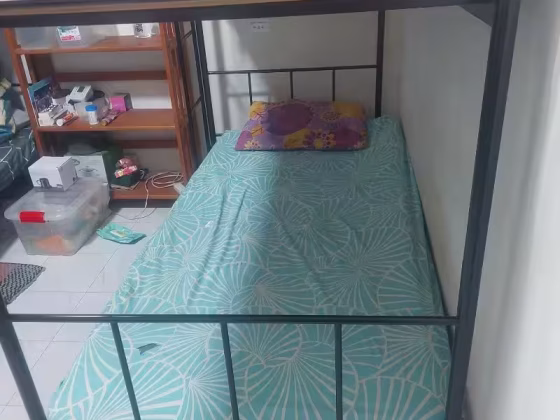 单间出租 • 武吉巴督 • 231 Bukit Batok East Avenue 5 • S$350 • 3房(2臥室) • 床位出租 照片