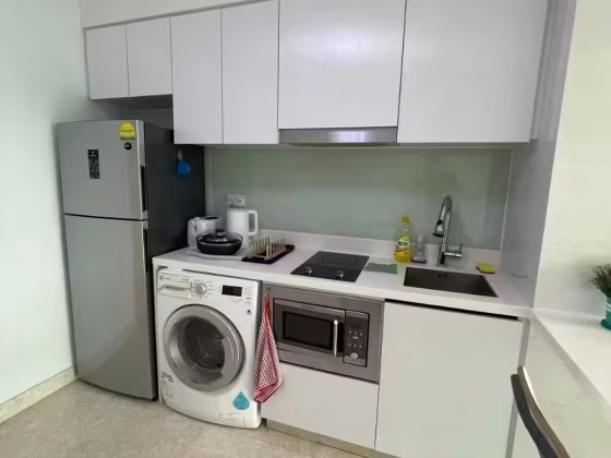 整套出租 • 加冷 •  Eight Riversuites • S$3400 • 住宅公寓 •  照片