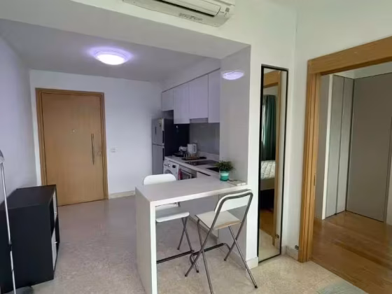 整套出租 • 加冷 •  Eight Riversuites • S$3300 • 共管公寓 •  照片