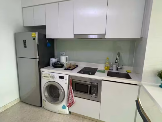 整套出租 • 加冷 •  Eight Riversuites • S$3300 • 共管公寓 •  照片