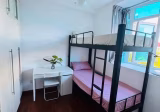 单间出租 • 武吉知马 •  The Champagne • S$650 • 住宅公寓 • 普通房