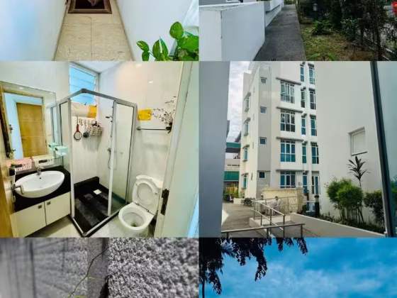 单间出租 • 武吉知马 •  The Champagne • S$650 • 住宅公寓 • 普通房 照片
