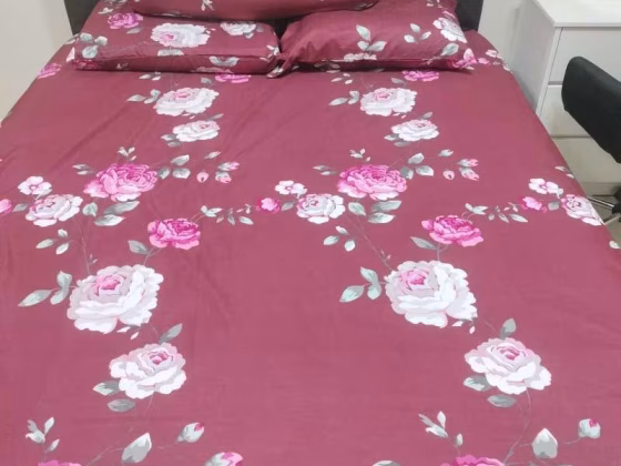 单间出租 • 兀兰 • 206 Marsiling Drive • S$1000 • 3房(2臥室) • 普通房 照片