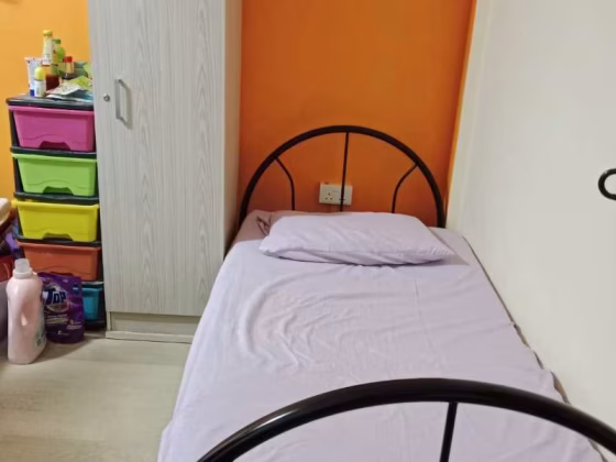 单间出租 • 武吉巴督 • 163 Bukit Batok Street 11 • S$490 • 3房(2臥室) • 床位出租 照片