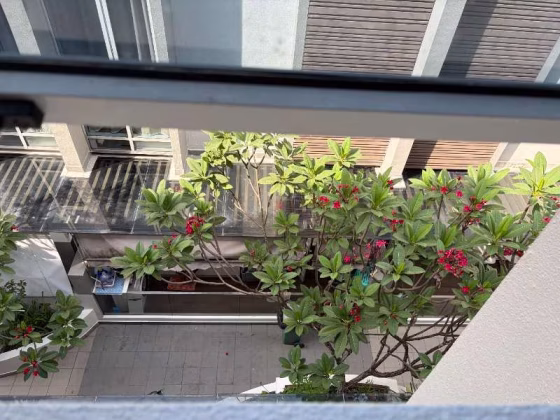 单间出租 • 后港 •  Charlton Residences • S$1500 • 联排排屋 • 主人房 照片