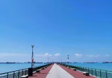 单间出租 • 勿洛 •  The Bayshore • S$1150 • 共管公寓 • 普通房