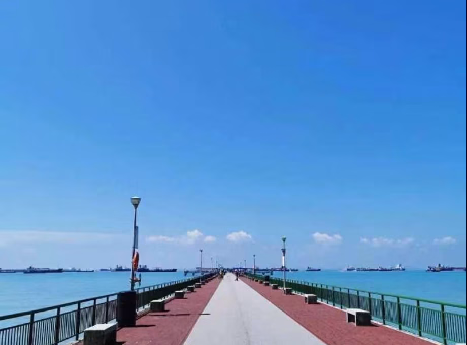 单间出租 • 勿洛 •  The Bayshore • S$1150 • 共管公寓 • 普通房 照片