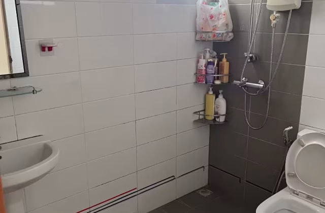 单间出租 • 裕廊西 • 217B Boon Lay Avenue • S$450 • 3房(2臥室) • 床位出租