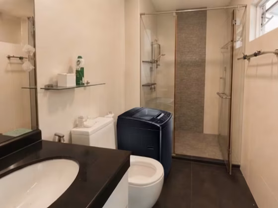 整套出租 • 实龙岗 •  Botanique At Bartley • S$2300 • 无电梯公寓 • 300ft² / 27m² 照片