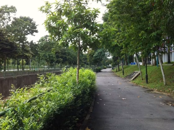 整套出租 • 蔡厝港 • 488C Choa Chu Kang Avenue 5 • S$3400 • 4房(3臥室) • 1300ft² / 120m² 照片