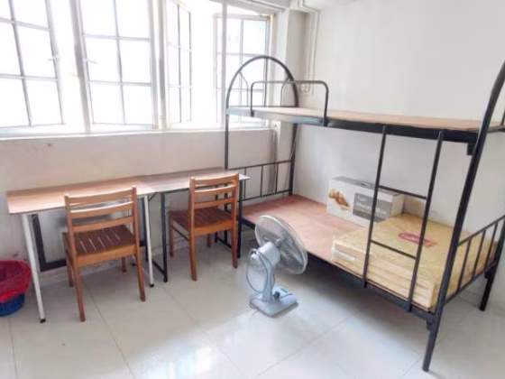 单间出租 • 兀兰 • 173 Woodlands Street 13 • S$475 • 3房(2臥室) • 床位出租 照片