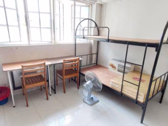 单间出租 • 兀兰 • 173 Woodlands Street 13 • S$450 • 3房(2臥室) • 床位出租 照片