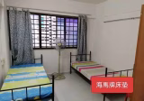 单间出租 • 兀兰 • 213 Marsiling Crescent • S$450 • 4房(3臥室) • 普通房