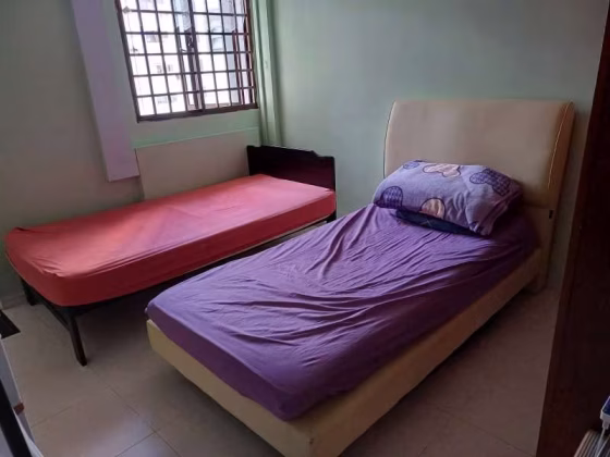 单间出租 • 勿洛 • 423 Bedok North Avenue 1 • S$600 • 3房(2臥室) • 床位出租 照片