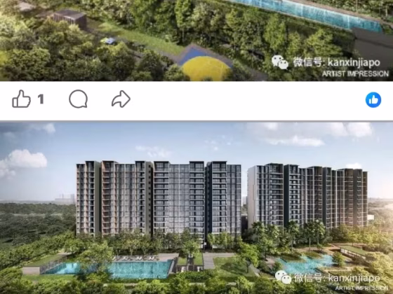 单间出租 • 淡滨尼 •  Tenet • S$1200 • 共管公寓 • 普通房 照片