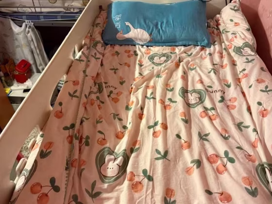 房屋出售 • 梧槽 • 28 Kelantan Road • S$500 • 5房(4臥室) •  照片