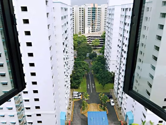单间出租 • 裕廊西 • 667D Jurong West Street 65 • S$1200 • 4房(3臥室) • 普通房 照片