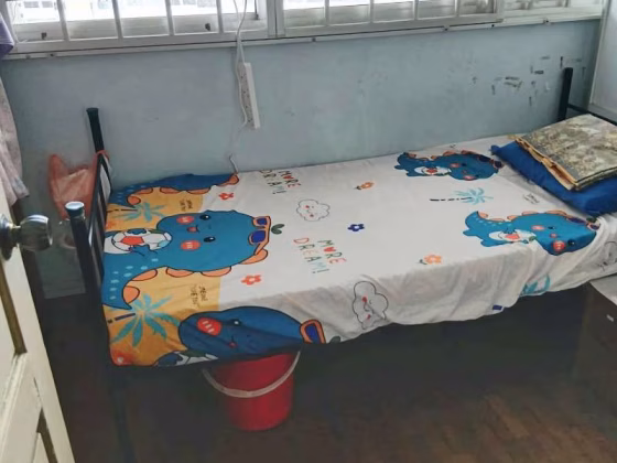 单间出租 • 裕廊西 • 471 Jurong West Street 41 • S$450 • 3房(2臥室) • 主人房 照片