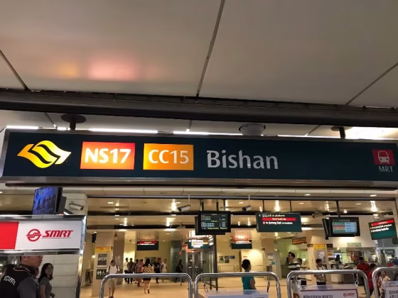 单间出租 • 碧山 • 115 Bishan Street 12 • S$1050 • 4房(3臥室) • 普通房 照片