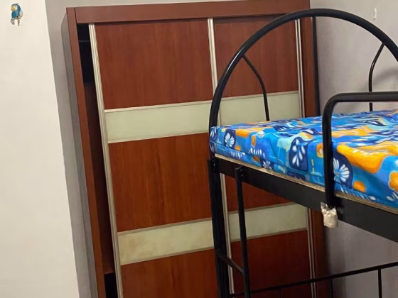 单间出租 • 盛港 • 247 Compassvale Road • S$550 • 4房(3臥室) • 床位出租 照片