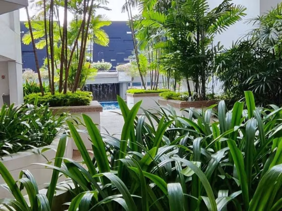 单间出租 • 梧槽 •  Burlington Square • S$1300 • 住宅公寓 • 普通房 照片