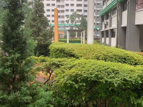 房屋出售 • 兀兰 • 536 Woodlands Drive 14 • S$729000 • 3房(2臥室) • 1346ft² / 125m² 照片